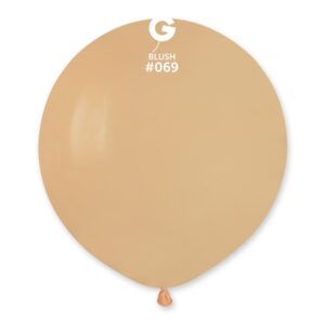#069 Blush Standard Color 19 in