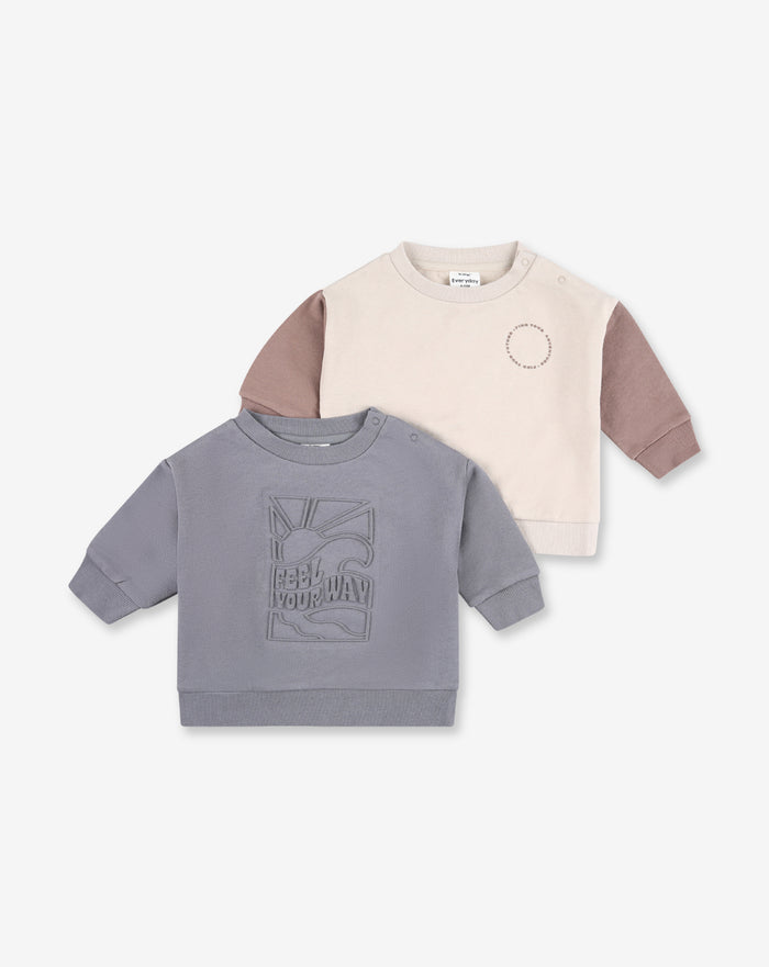 2 Sweatshirts Pack FB7