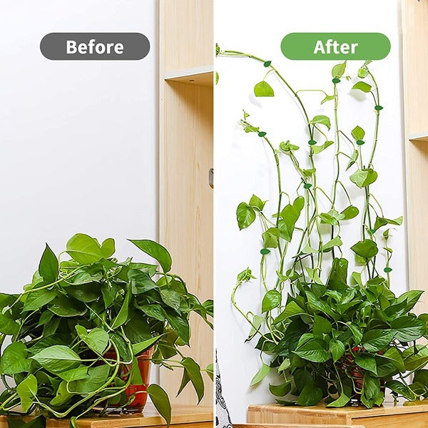 20 Pcs Leaf Shape Plant Climbing Wall Fixture Clips – Green Adhesive Vine Fixing Clips for Indoor & Outdoor Plants