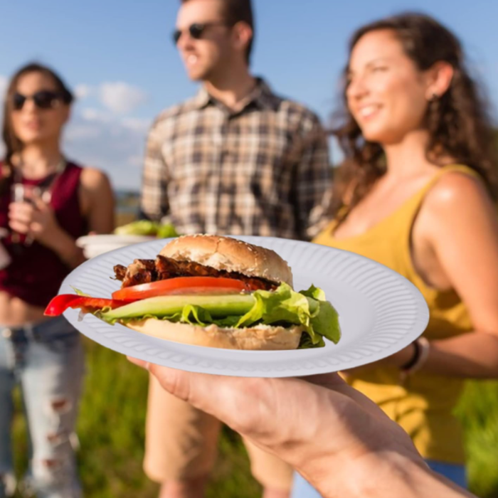 8 Pcs Disposable Plates – Lightweight & Convenient Party Tableware for Snacks, Meals & Events