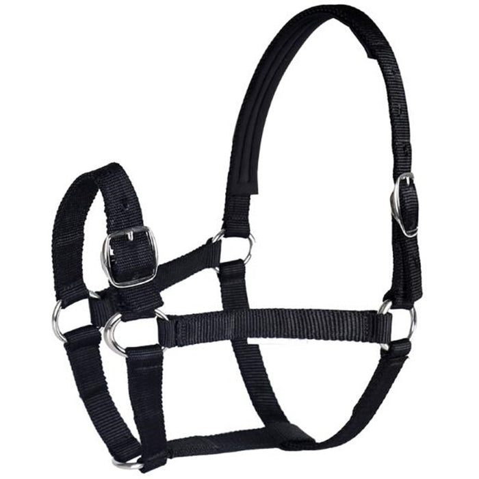 Anti-friction Halter / Headcollar (3 colors) - Dogs and Horses