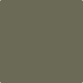 Shop the paint color 2141-30 Army Patch by Benjamin Moore at Anderson Paint Company in Ann Arbor, Michigan.