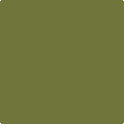 Shop the paint color 2145-10 Avocado by Benjamin Moore at Anderson Paint Company in Ann Arbor, Michigan.