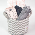 Baby Girl Gift Basket