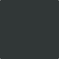 Shop the paint color 2136-10 Black Night by Benjamin Moore at Anderson Paint Company in Ann Arbor, Michigan.