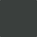 Shop the paint color 2135-10 Blacktop by Benjamin Moore at Anderson Paint Company in Ann Arbor, Michigan.