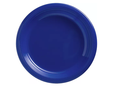 Blue plates near me