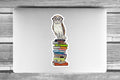 PinkPolish Design Giant Stickers "Book-Learned Owl'  Giant Vinyl Die Cut Sticker
