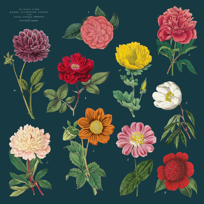 A collection of vintage botanical illustrations printed on cloth napkins, featuring a variety of flowers in different colors on a dark blue background.