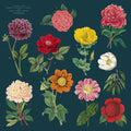 A collection of vintage botanical illustrations printed on cloth napkins, featuring a variety of flowers in different colors on a dark blue background.