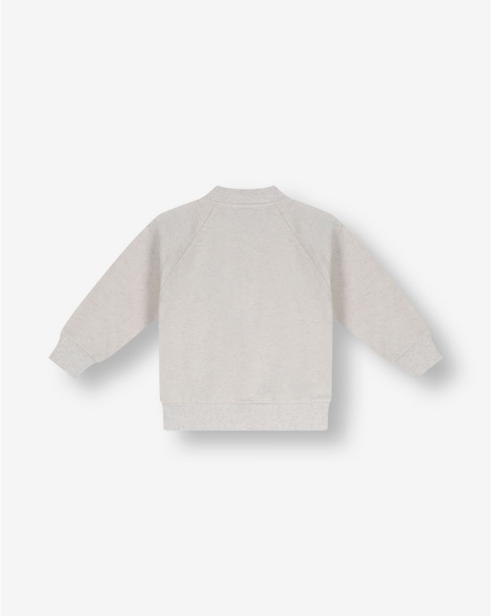 Boys Hooded Sweatshirt FB5