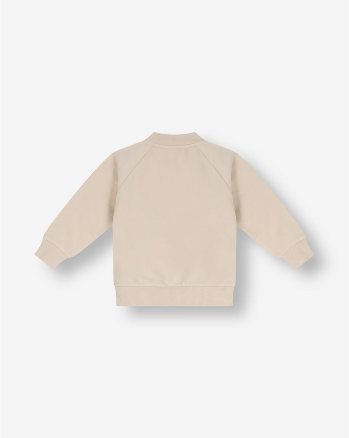 Boys Hooded Sweatshirt FB5