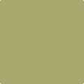 Shop the paint color 2145-30 Brookside Moss by Benjamin Moore at Anderson Paint Company in Ann Arbor, Michigan.