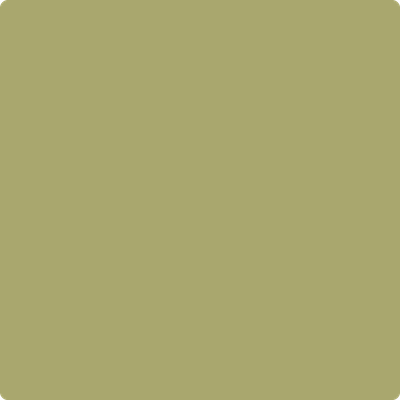 Shop the paint color 2145-30 Brookside Moss by Benjamin Moore at Anderson Paint Company in Ann Arbor, Michigan.