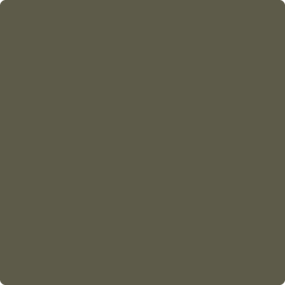 Shop the paint color 2141-20 Cabbage Patch by Benjamin Moore at Anderson Paint Company in Ann Arbor, Michigan.