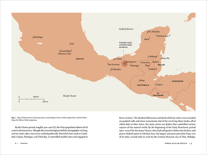 Códice Maya de México: Understanding the Oldest Surviving Book of the Americas