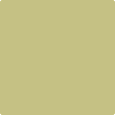 Shop the paint color 2147-40 Dill Pickle by Benjamin Moore at Anderson Paint Company in Ann Arbor, Michigan.