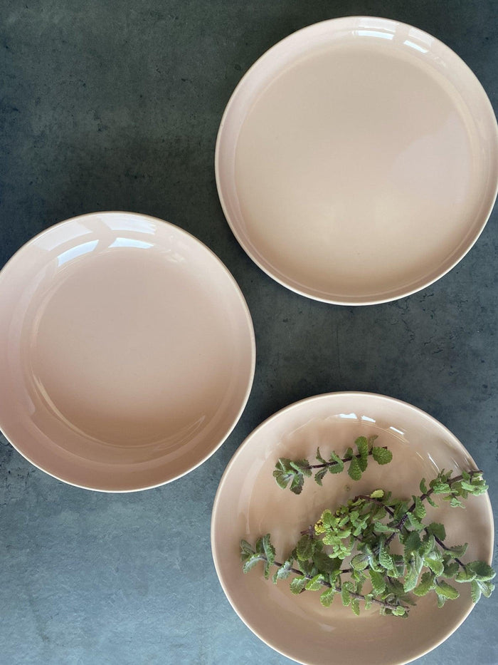Elements Pink Salmon Dinner Plate Set