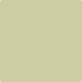 Shop the paint color 2145-40 Fernwood Green by Benjamin Moore at Anderson Paint Company in Ann Arbor, Michigan.