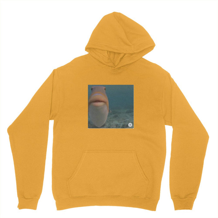 FISH Hoodie