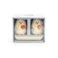 Gift Boxed Hedgehog Figurine Salt and Pepper Shaker Set
