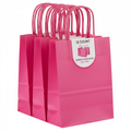 Hot Pink Paper Favor Bags - 12 Count (8.375" x 5.25" x 3.25")
