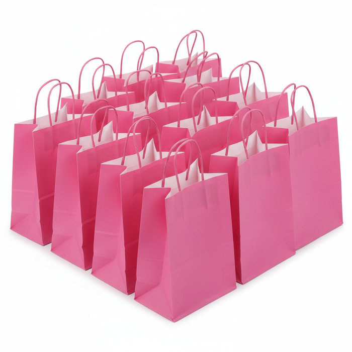 Hot Pink Paper Favor Bags - 12 Count (8.375" x 5.25" x 3.25")