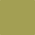 Shop the paint color 2147-30 Jalapeño Pepper by Benjamin Moore at Anderson Paint Company in Ann Arbor, Michigan.