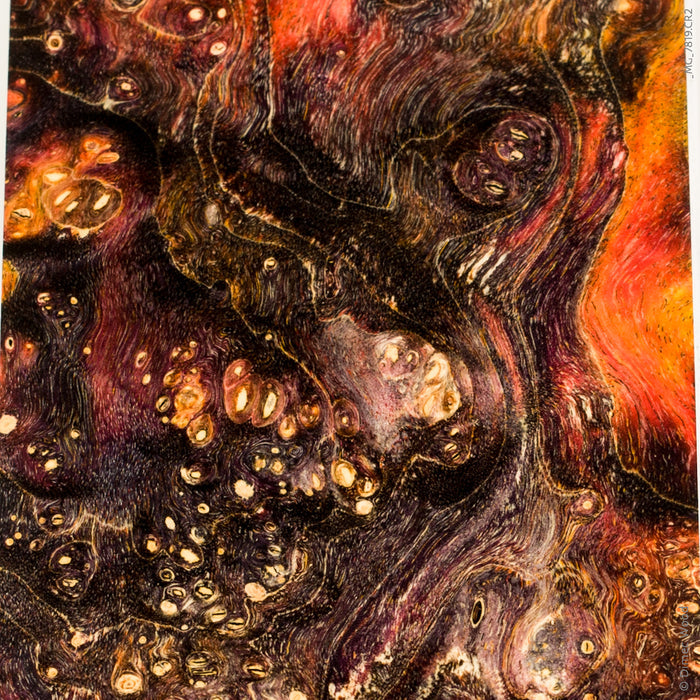 Large stabilized box elder burl wood block