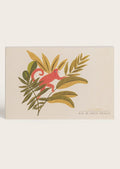 A set of animal print postcards.