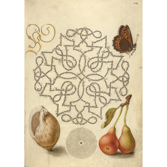 Manuscript Image
