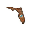 Miami Dolphins Distressed 12" x 12" State Wall Art"