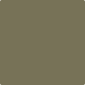 Shop the paint color 2142-30 Mountain Moss by Benjamin Moore at Anderson Paint Company in Ann Arbor, Michigan.