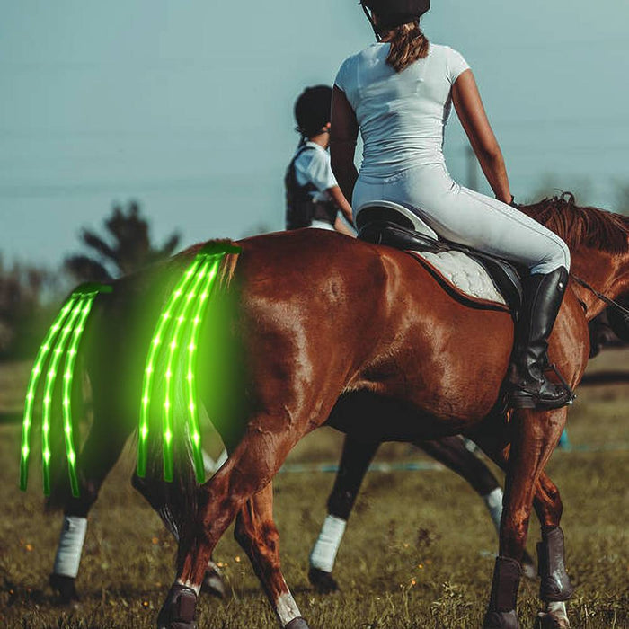 New LED Horse Tail Lights (USB charging) - Dogs and Horses