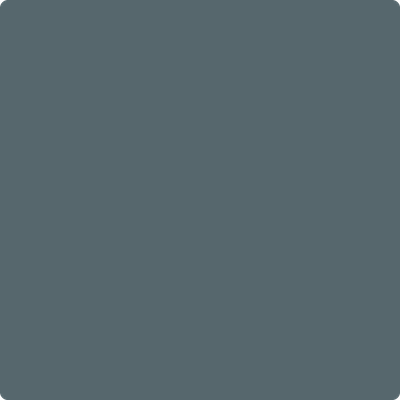Shop the paint color 2135-30 Nocturnal Gray by Benjamin Moore at Anderson Paint Company in Ann Arbor, Michigan.