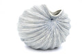 Palm Seashell Vase