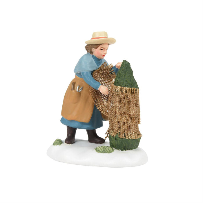 Preparing For The Frost, Dept. 56