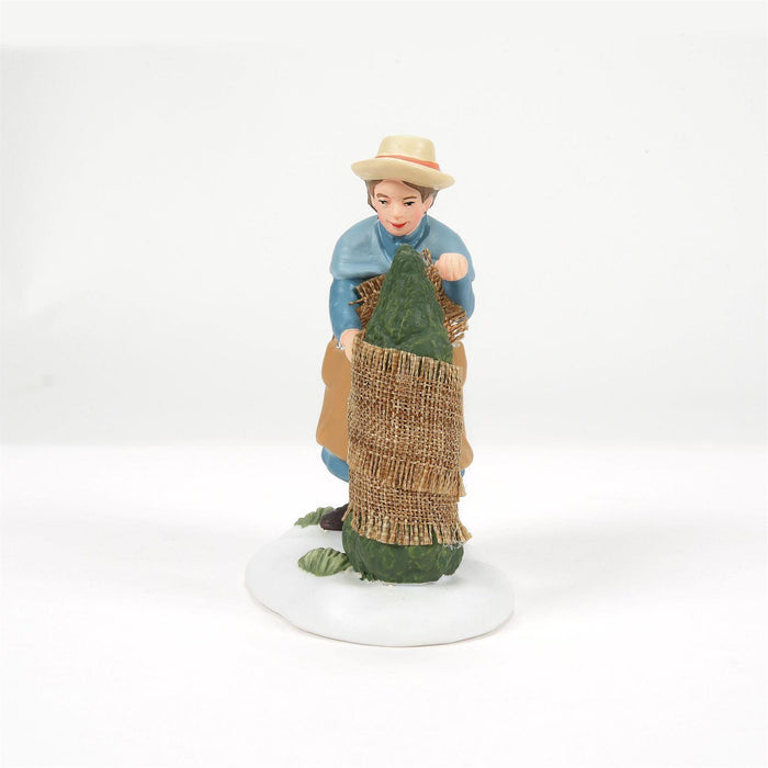 Preparing For The Frost, Dept. 56