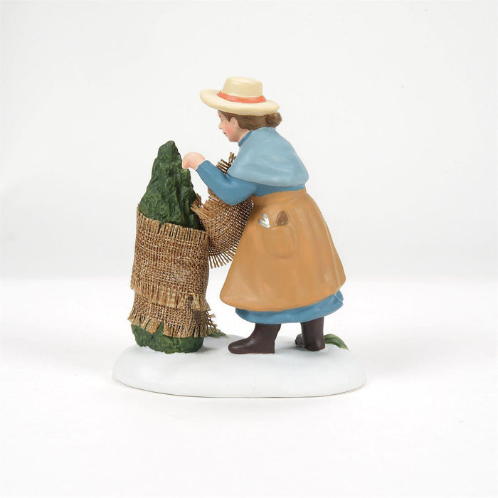Preparing For The Frost, Dept. 56