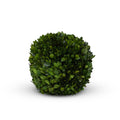 Preserved Boxwood Ball, 8"