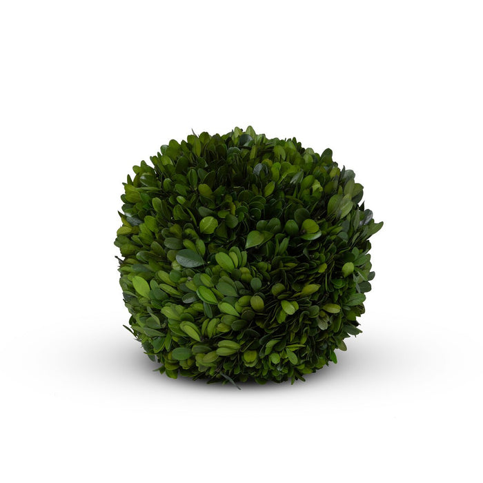 Preserved Boxwood Ball, 8"