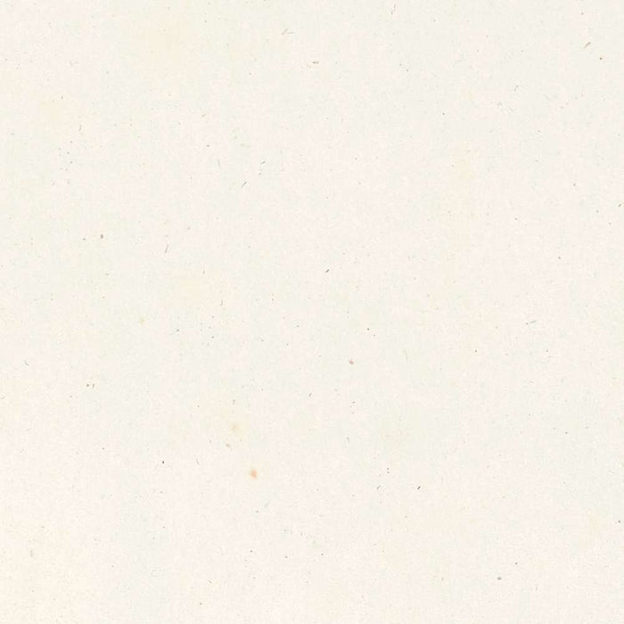 Saffron Crocus (Crocus sativus, Plate 4) by Pierre Joseph Redouté, 1805