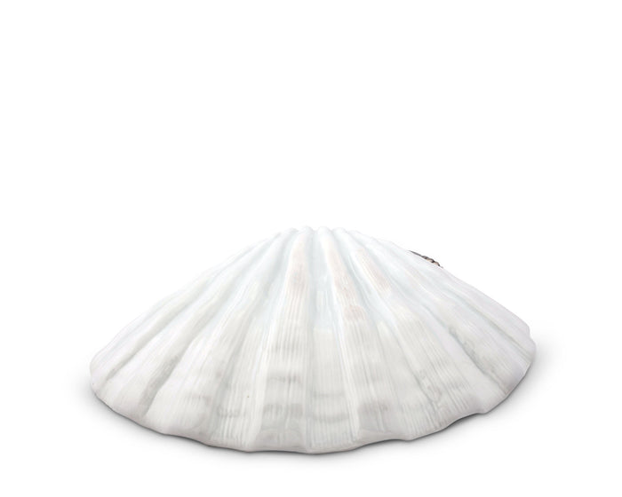 Shrimp Porcelain Shell Plate