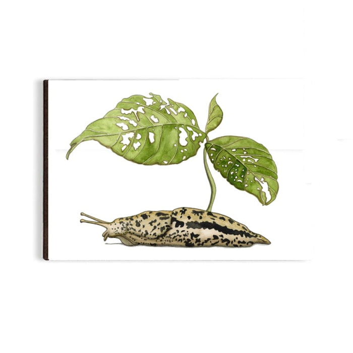 PinkPolish Design Magnets "Slug Sprout" Wood Refrigerator Magnet