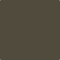 Shop the paint color 2138-10 Southern Vine by Benjamin Moore at Anderson Paint Company in Ann Arbor, Michigan.