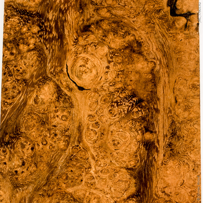Stabilized black locust burl wood block