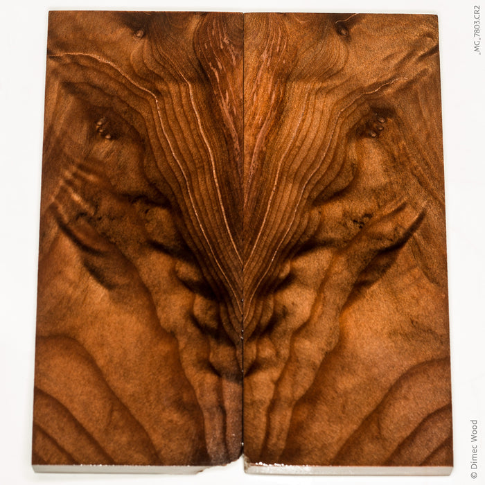 Stabilized wood redwood lace burl scales