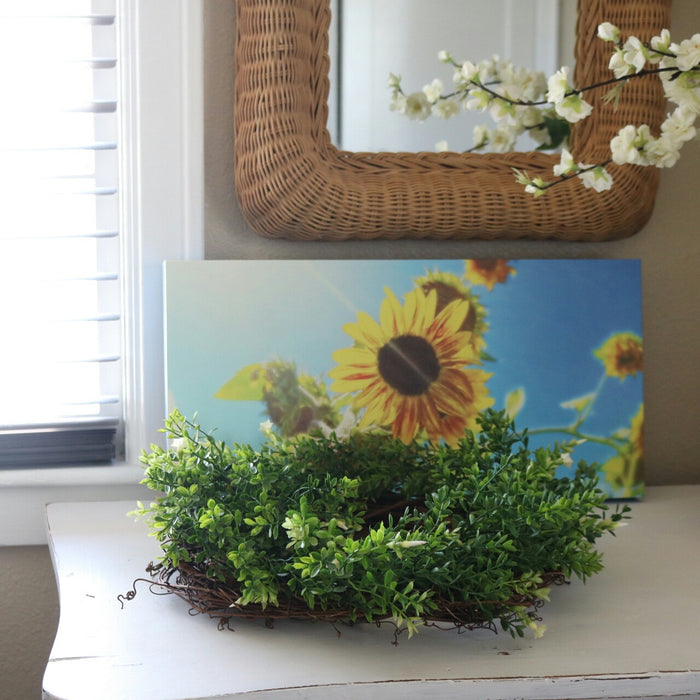 Sunflower and Sunlight Canvas Print