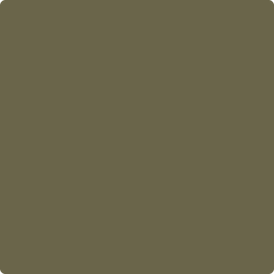 Shop the paint color 2142-20 Turtle Green by Benjamin Moore at Anderson Paint Company in Ann Arbor, Michigan.