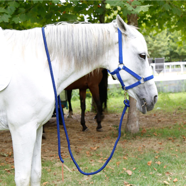 White Lead Rope / 3 m - Dogs and Horses